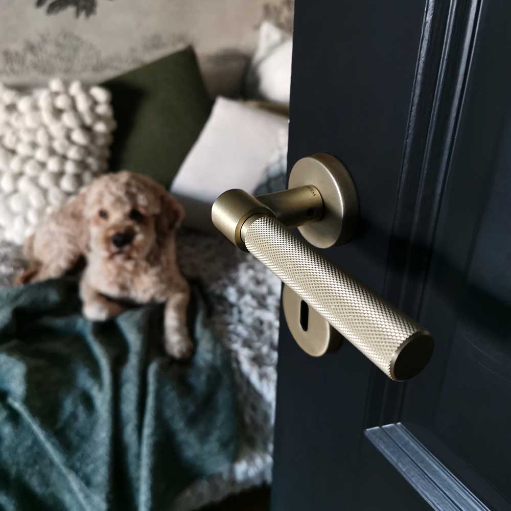 Brass door handles