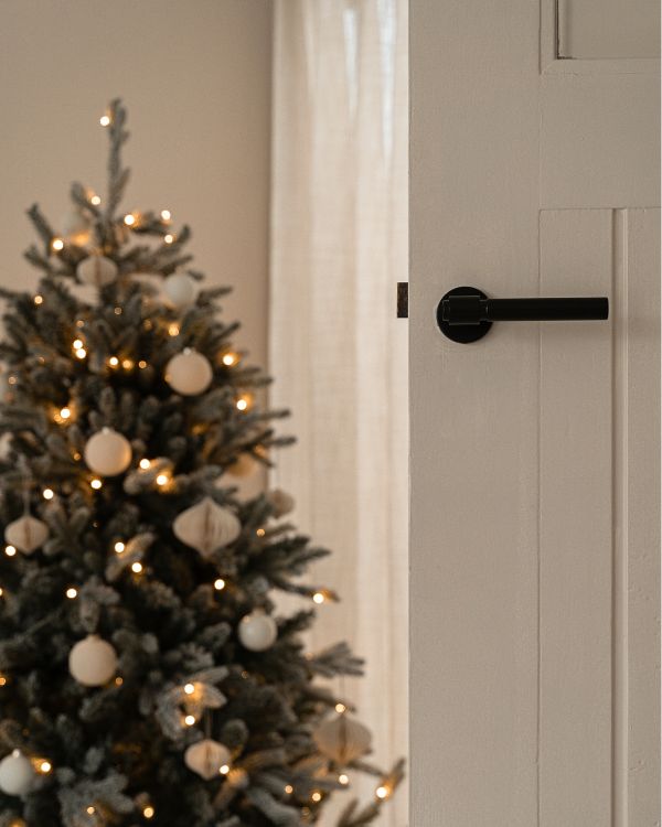 Door Handles and Toilet Locks