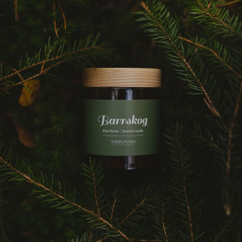 Scented candle - Pine Forest - 150g