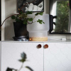 Cabinet Knob Olympia - Walnut