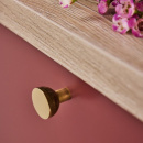 Cabinet Knob Copenhagen - 25mm - Raw/Polished Brass