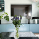 Cabinet Knob Simon - 35mm - Stainless Steel Finish 