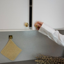 Cabinet Knob 401 - Polished Brass