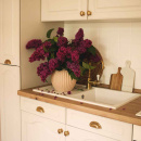 Cabinet Knob 401 - Brass (Matte)