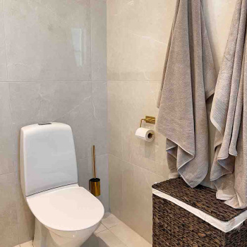 Toilet Brush Solid - Polished Brass