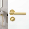 Toilet Lock R - Brushed Brass