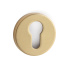Key Plate R-E - Brushed Gold (European standard) Key Plate R-E - Brushed Gold (European standard)