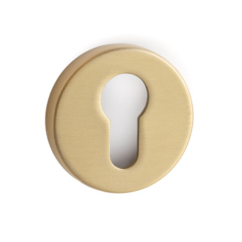 Key Plate R-E - Brushed Gold (European standard)