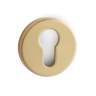 Key Plate R-E - Brushed Gold (European standard) in the group News at Beslag Online (751125-41E)