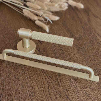 Handle Helix/Back Plate - Brass