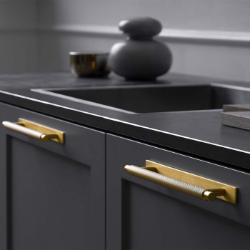 Handle Manor/Back Plate - Gold