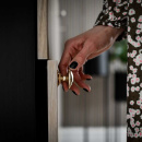 Cabinet Knob 24466 - Polished Brass