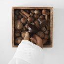 Cabinet Knob Circum - Walnut